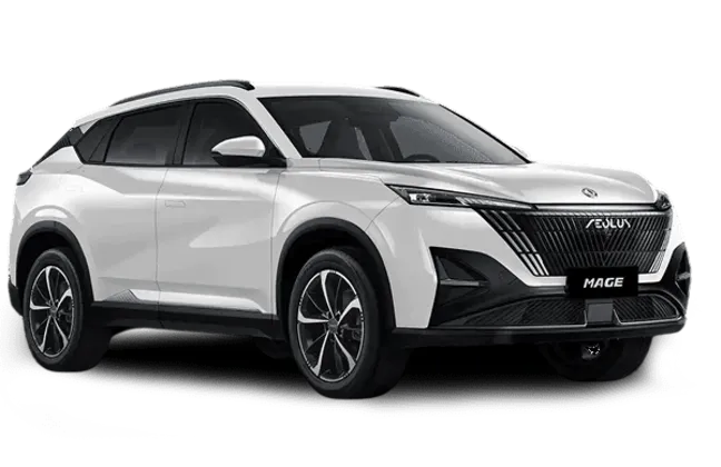 Dongfeng Мэйдж